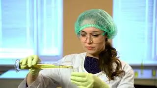 Sunflower oil (eng version)