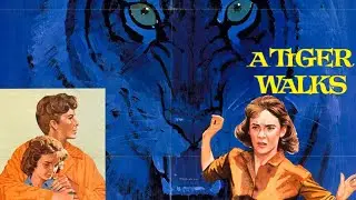 A Tiger Walks 1964 Disney Film | Brian Keith, Vera Miles, Pamela Franklin, Edward Andrews | Review