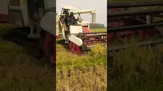🌾🌾🚜🚜🌾🌾