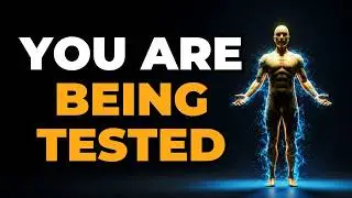 Wealth Starts in Your Mind - How to Attract Money with the Law of Attraction