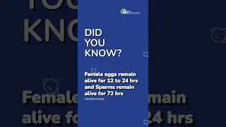 Did You Know? The Fascinating Lifespan of Eggs and Sperm!