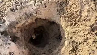 Hike. Tel Dor. Israel
