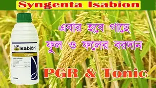 Isabion Syngenta |Plant Growth Regulator &Tonic |সমস্ত ফসলের জন্য best অ্যামাইনো অ্যাসিড সমৃদ্ধ PGR।