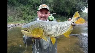 Fly Fishing for Golden Dorado | Rio Dorado | Salta Argentina