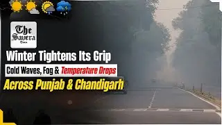 Live | Cold Tightens Grip on Punjab and Chandigarh, Dense Fog Triggers Yellow Alert