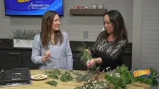 Foraging in the Wild: Nature&rsquo;s Edible Plants
