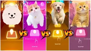 Dog vs Cat vs Domestic Dog vs Ginger Kitten   Tiles Hop  EDM Rush