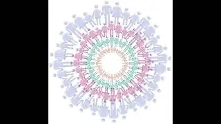 Theory to Therapy: Rational Emotive Behavior Therapy