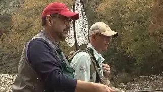 Beavers Bend Fly Shop