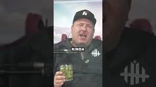 Talking BLUE Strains with Blue Zu  Michigrown