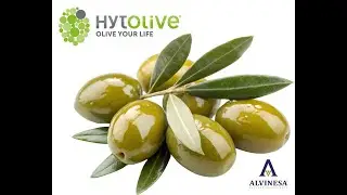 Hytolive by Alvinesa