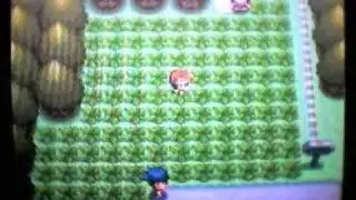 Shiny Patch on Pok&eacute;mon Diamond and Pearl