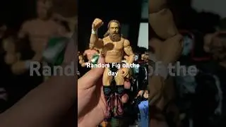 Random fig of the day: Daniel Bryan Mattel basic.