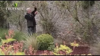 Comment tailler un p&ecirc;cher en vert ? - Truffaut