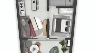 Window Moema