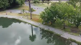 Bosques de Palermo - Ciudad Aut&oacute;noma de Buenos Aires - Argentina