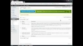 s2Member - Plugin Conflicts