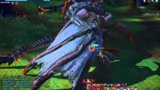 TERA Online Dracoloth Boss Fight