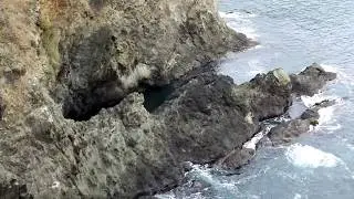 First Camping Trip Ever!   MacKerricher State Park, Fort Bragg, California 2019