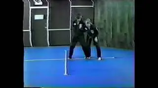 American Kenpo Locked Wing extension