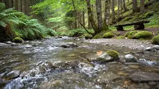 Deep Relaxation River Sounds for Peaceful Sleep | No Talking