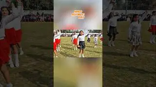 Republic Day Vlog Highlights #republicday #shortsfeed