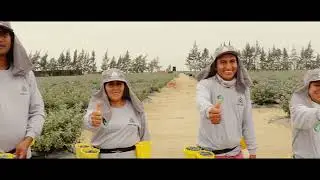 Operación y Mantenimiento del Sistema Trasvase Olmos