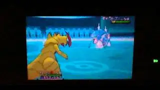 Pokemon Wifi Battle: Stoutland Stands Strong!