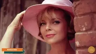 Barbara Bain biography 