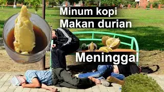 Meninggal Minum Kopi Makan Durian. Ini 17 Makanan Larangan Setelah Makan Durian