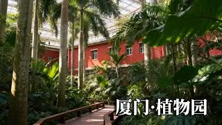 厦门之旅——植物园，集山海湖花园一体的世界级园林，来厦门必来的打卡地！【行走世界的北京老刘】