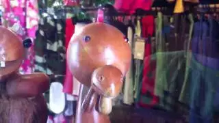 LOOK AT THE TURKY'S FACE