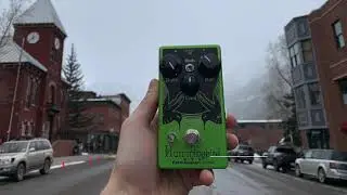 EarthQuaker Devices Hummingbird Tremolo in the style of Peter Buck R.E.M.