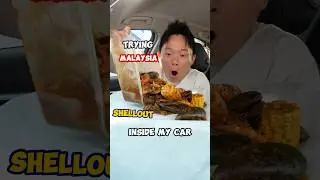 Eating Shellout inside my car! No problem! #hungrysam #reallygoodornot #shellout