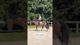 5. Reiterfehler: Die Blockade in der H&uuml;fte! beim Reiten mit deinem Pferd!