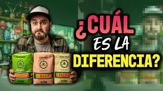 COMPARATIVA de Yerba Mate CANARIAS