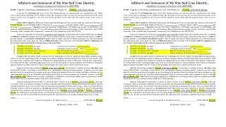 Affidavit And Statement Of One-Self True Identity