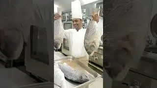 Thrilling 😱 80kg Black snapper fish|black snapper 😱