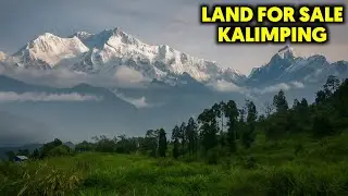 Land For sale | Kanchanjanga View Land Samthar Kalimpong | Property Sale Kalimpong