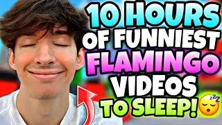 🌟10 HOURS🌟 Of Flamingo Roblox - Funniest Videos (Flamingo Marathon)