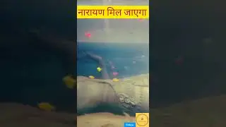 Om Namo Narayan!! |Jai Shree Ram #shorts