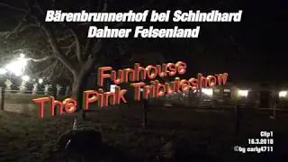 Funhouse The PINK Tributeshow auf dem Bärenbrunnerhof bei Schindhard 16.3.2018 T1/22