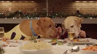 Teniente cooper - Un vals en Navidad (doggy style)