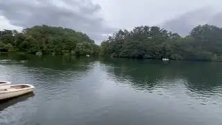 I`m sad that people don`t know gosiki pond in Fukushima prefecture.