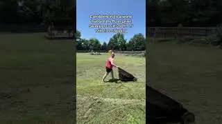 Tested on backyard apples and it worked great! #lawn #lawncare #backyard