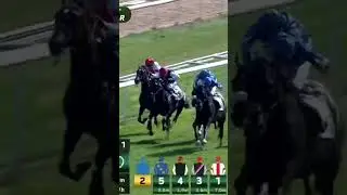 Rebel's Romance Wins his second Preis Von Europa!