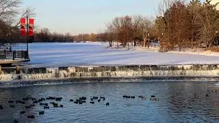 Slow Motion Canon RF & RF 24-105mm F4 Lens Handheld - 4K 60p