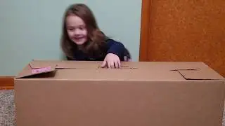 November 2018 Michael's $4 Grab Bag Opening with Little Miss - $155 Value
