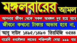 আজ মঙ্গলবারে ২ টি সূরা ১ বার শুনুন ইনশাআ, কপাল খুলে যাবে। সকল মনোবাসনা পুরন হবে। গায়েবি সাহায্য আসবে