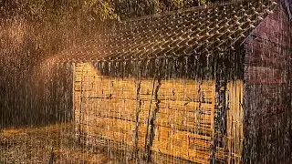 Thrilling Thunder on Porch of Deserted Tent in Forest at Night & Sleep Instantly with Heavy Rain